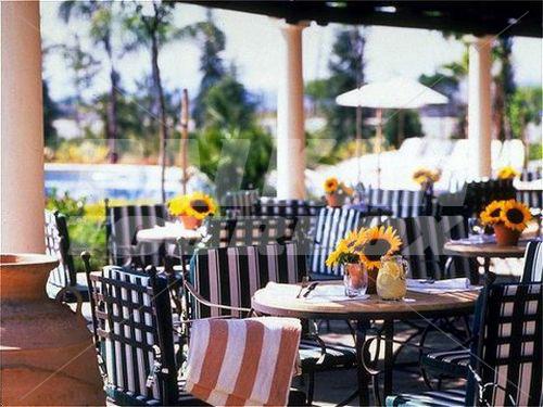 holiday in Hyatt Regency