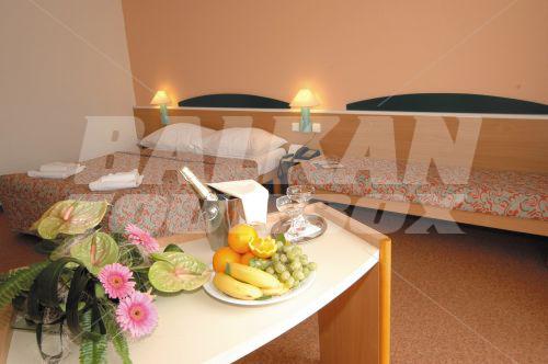почивка в Ibis Karlin