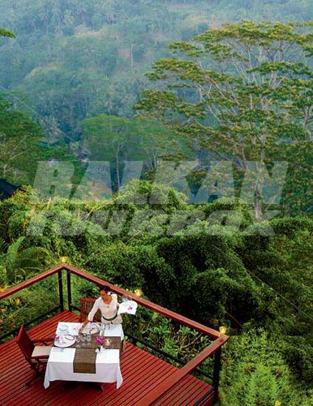 holiday in Kupu Kupu Barong Villas and Tree Spa