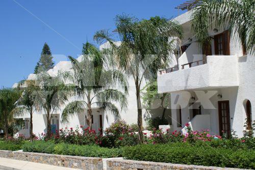holiday in Kyknos Beach