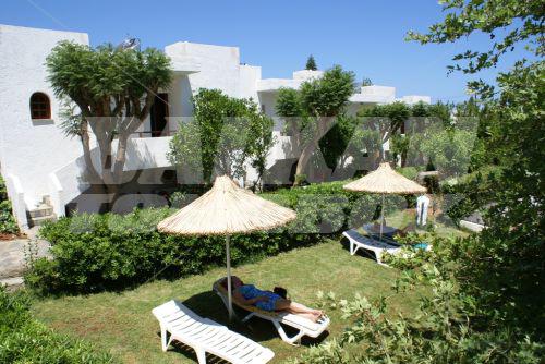 holiday in Kyknos Beach