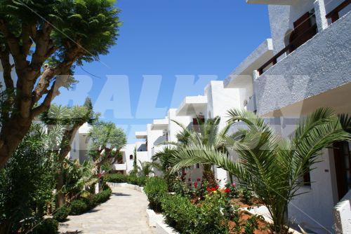 holiday in Kyknos Beach