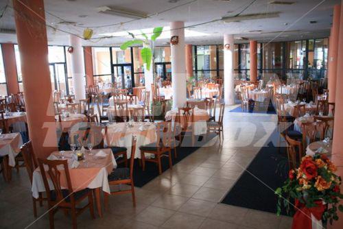 holiday in Fiesta M