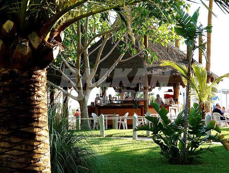 holiday in Bouganville Playa