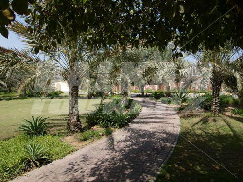 holiday in Umm Al Quwain Beach
