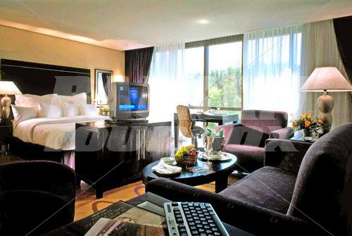 holiday in Sheraton Tirana
