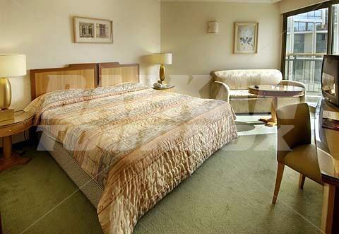 holiday in Magic Palace Eilat
