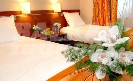 holiday in Metropol