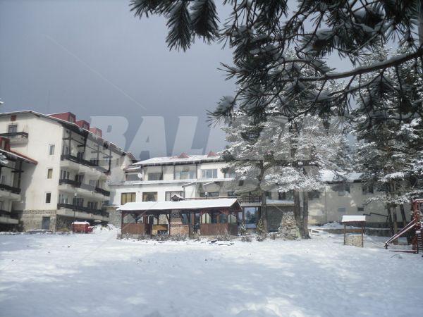 holiday in Bor