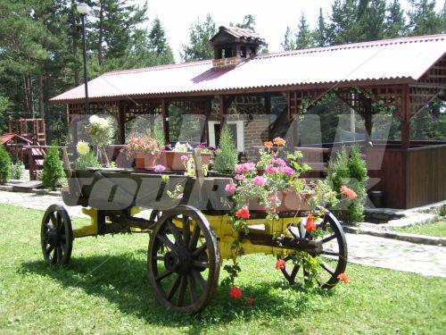 holiday in Bor