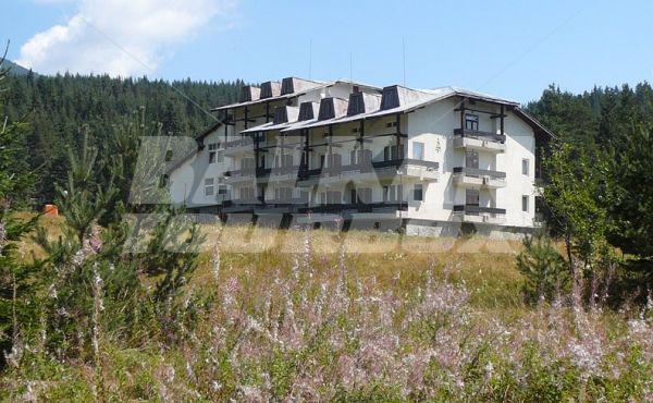 holiday in Bor