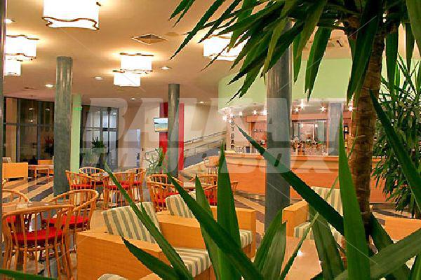 holiday in Azalia
