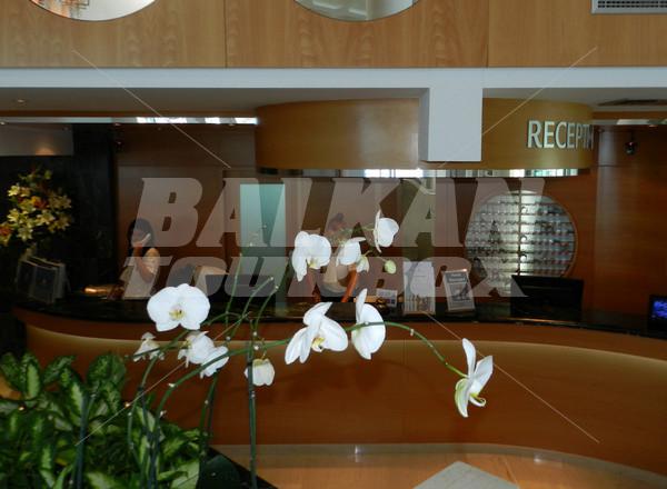 holiday in Asimina Suites Hotel