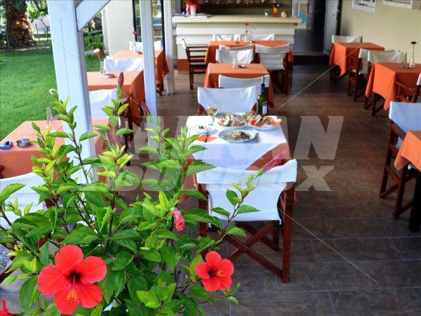 holiday in Evripidis Hotel