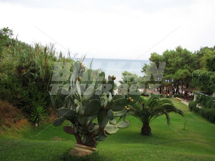holiday in Panas