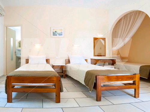 holiday in Brothers Hotel Ios