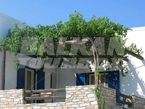 holiday in Brothers Hotel Ios