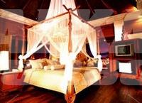holiday in Diamond Cliff Resort & Spa