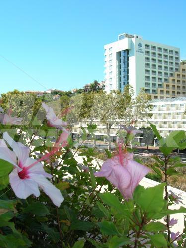 holiday in Alto Lido