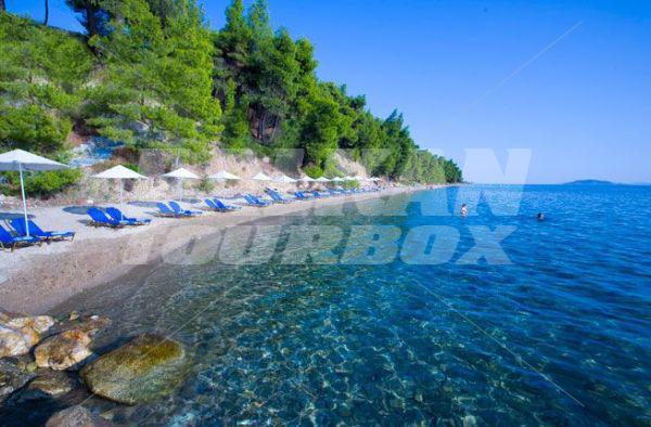 почивка в Athena Pallas Village