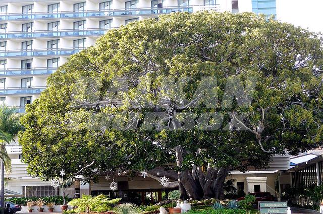 почивка в  Fairmont Miramar Hotel & Bungalows - Santa Monica