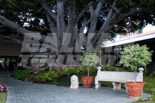 почивка в Fairmont Miramar Hotel & Bungalows - Santa Monica