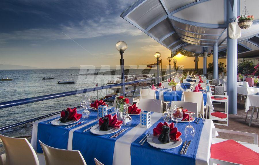 holiday in Grand Blue Sky