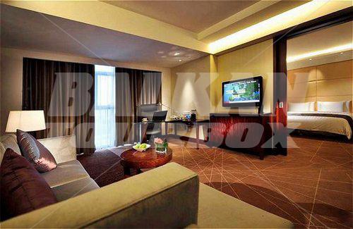holiday in Crowne Plaza International Airport