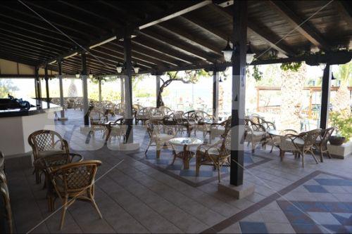 holiday in Chrissi Amoudia