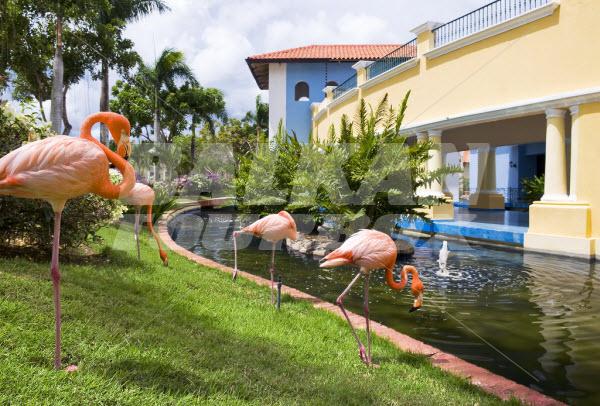 почивка в Iberostar Hacienda Dominicus