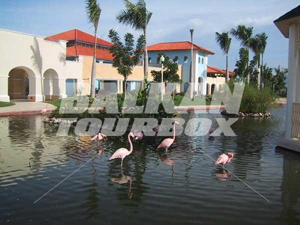 почивка в Iberostar Hacienda Dominicus