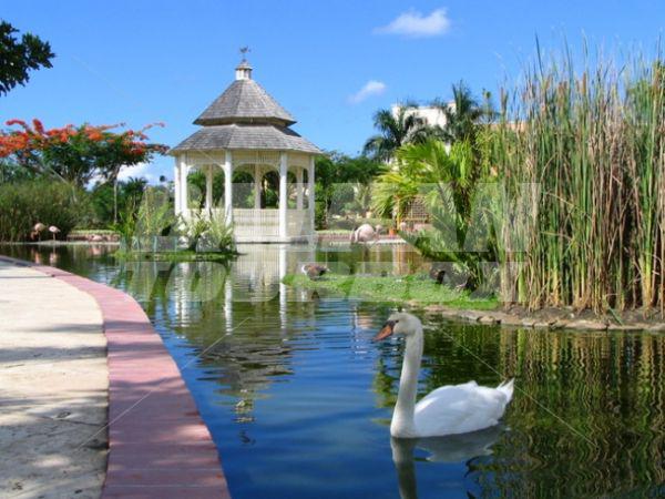 почивка в Iberostar Hacienda Dominicus