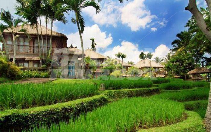 holiday in Kamandalu Resort and Spa