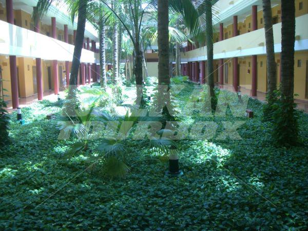 holiday in Iberostar Bavaro