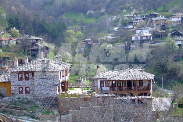 holiday in Hadjiska House
