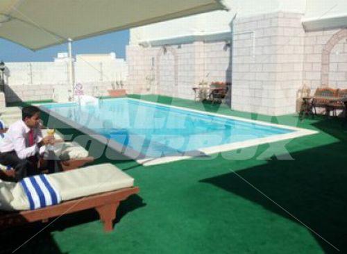 holiday in Al Maha International