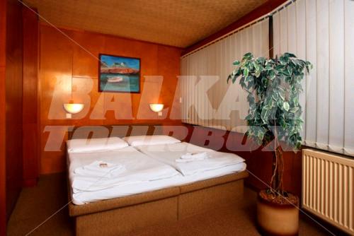 holiday in Botel Albatros