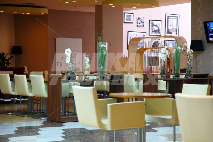 почивка в Designhotel Elephant