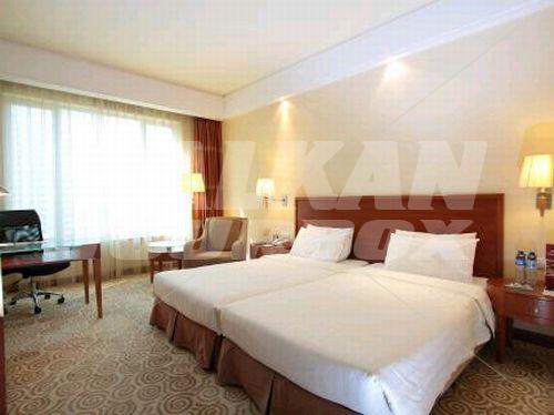 holiday in Copthorne
