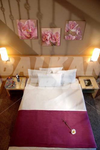 holiday in Riva Club N