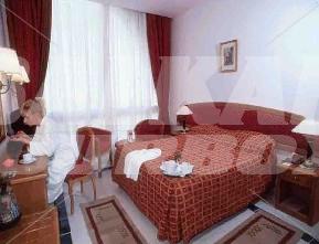 holiday in Desert  Rose