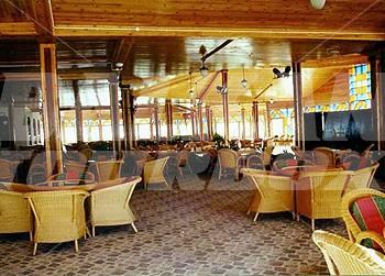 holiday in Desert  Rose