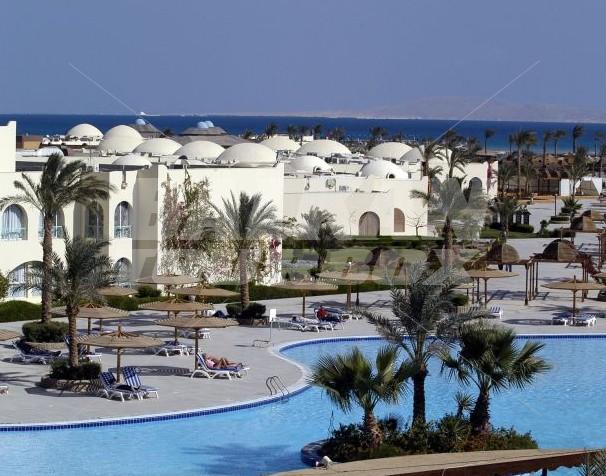 holiday in  Desert  Rose