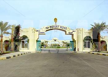 holiday in Desert  Rose