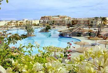 holiday in Desert  Rose