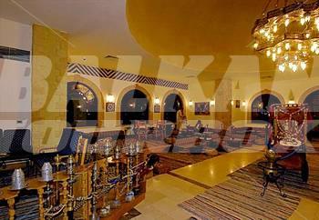 holiday in Desert  Rose