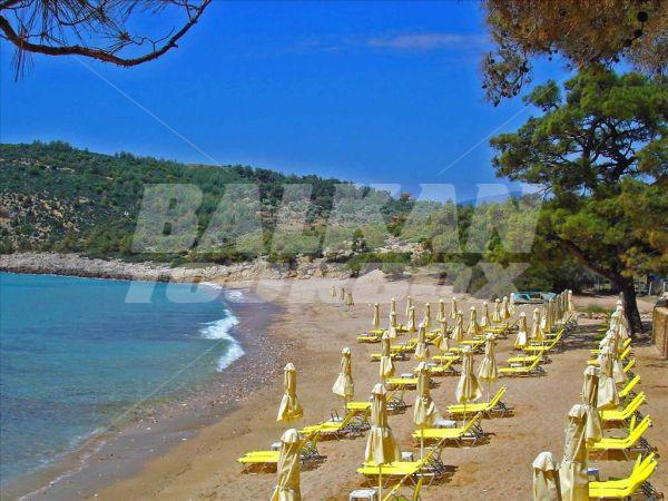 holiday in Royal Paradise Resort and Spa