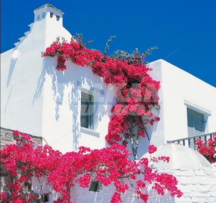 holiday in  Yria Resort