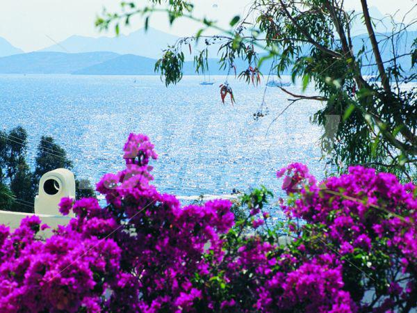 почивка в Labranda TMT Bodrum