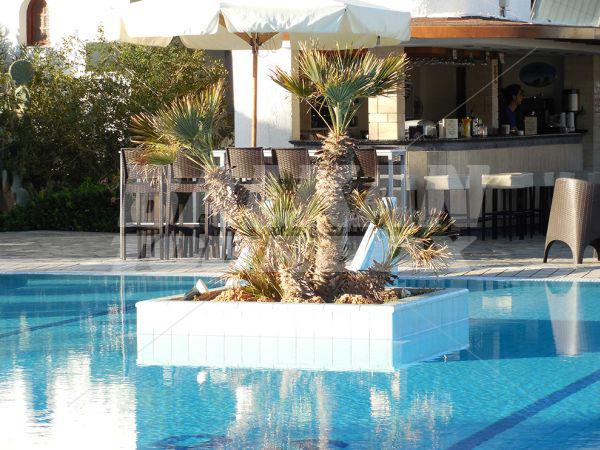 holiday in Kyknos Beach Hotel and Bungalows